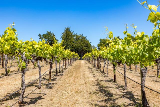 3357 Chardonnay Road, Soquel CA: https://media.crmls.org/mediaz/427a1fe7-2875-467c-ab9c-8e1fc0724618.jpg