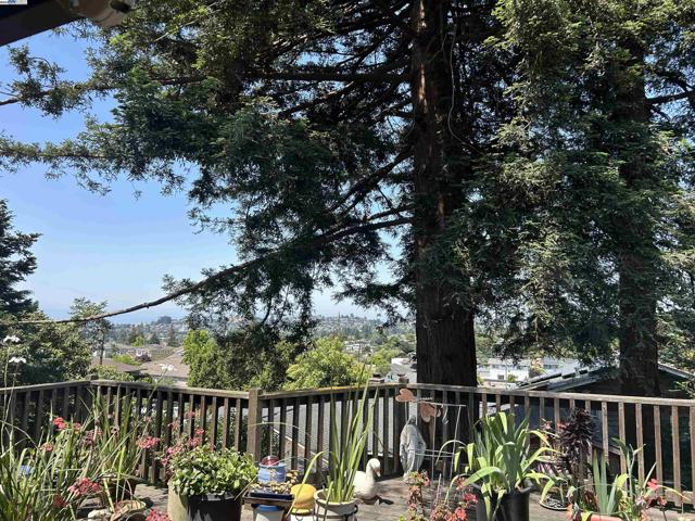 18393 Pepper St, Castro Valley CA: https://media.crmls.org/mediaz/427ca404-08e7-4567-adb7-b8bd650985d3.jpg