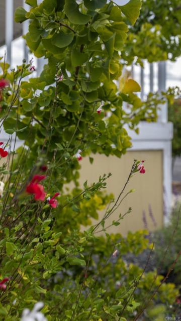 Detail Gallery Image 43 of 58 For 35109 Hwy 79 #91,  Warner Springs,  CA 92086 - 2 Beds | 2 Baths