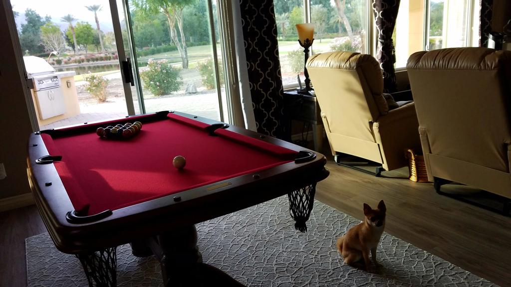 MLS #219138359DA image #24