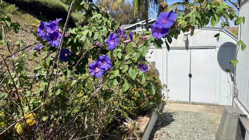 444 El Camino Real Street - photo 11