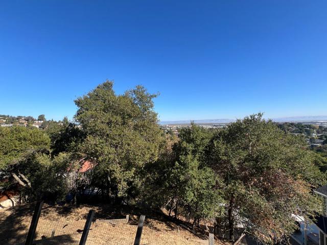 65 Madera Avenue, San Carlos CA: https://media.crmls.org/mediaz/42960263-6414-4a8f-9a66-19a6dadcba81.jpg