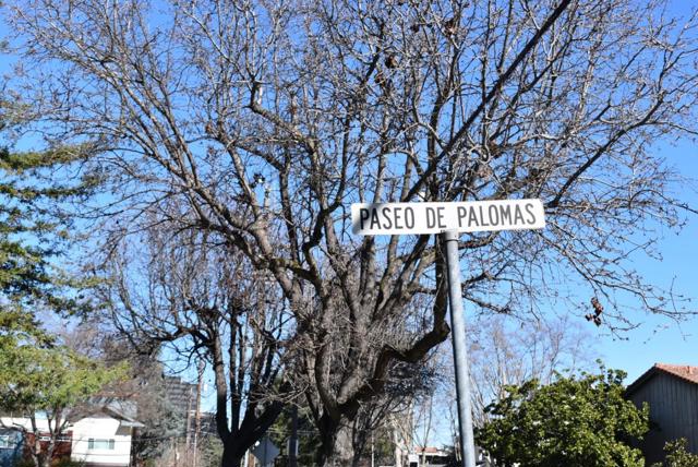 63 Palomar Real, Campbell CA: https://media.crmls.org/mediaz/42981477-22b7-4a0e-b408-4e2969b983c6.jpg