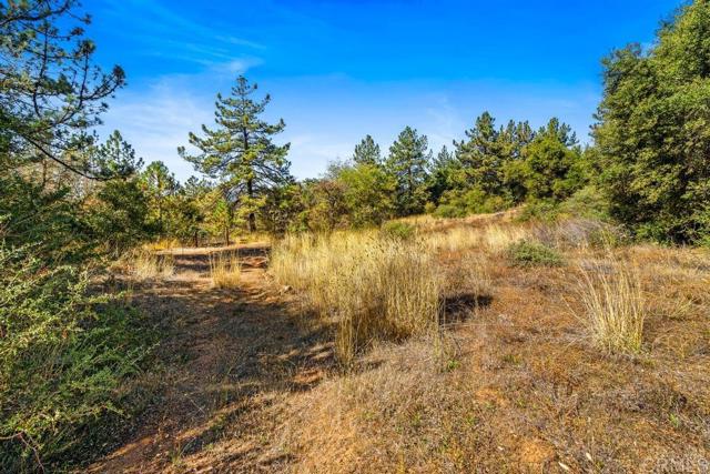 Detail Gallery Image 6 of 40 For 120 Ac Vacant Land Mesa Grande Rd, Santa Ysabel,  CA 92070 - – Beds | – Baths