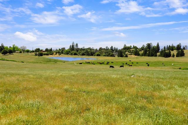 3510 Deer Lake Park Road, Julian CA: https://media.crmls.org/mediaz/42aac61e-3d76-4d6d-9e59-c04015255827.jpg