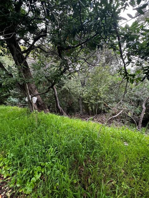 MLS #ML81959106 image #14