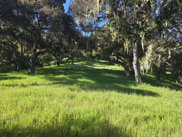 16 SLEEPY HOLLOW DRIVE, Carmel Valley CA: https://media.crmls.org/mediaz/42c72d5d-68c8-4e3f-ad37-344a82d447bb.jpg