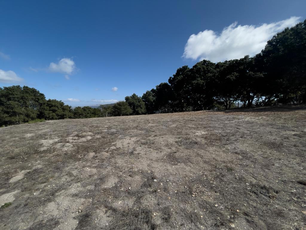 MLS #ML81990616 image #15