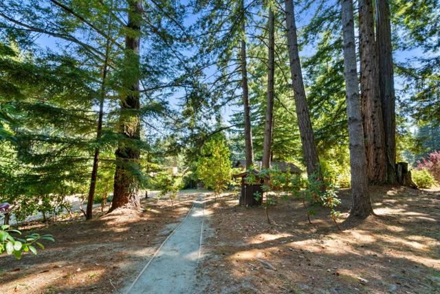 4611 Bonny Doon Road, Santa Cruz CA: https://media.crmls.org/mediaz/42ce6255-7521-4fe5-9ce6-7c8221710264.jpg