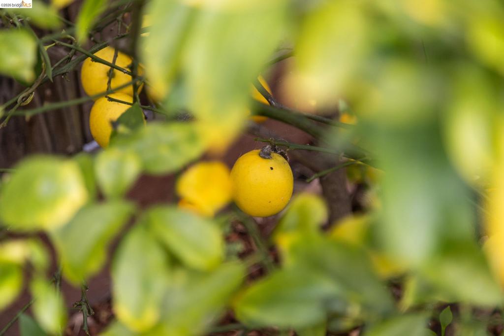 https://media.crmls.org/mediaz/42d4187a-4236-41fb-a4b5-80d3a39e85bd.jpg?preset=X-Large