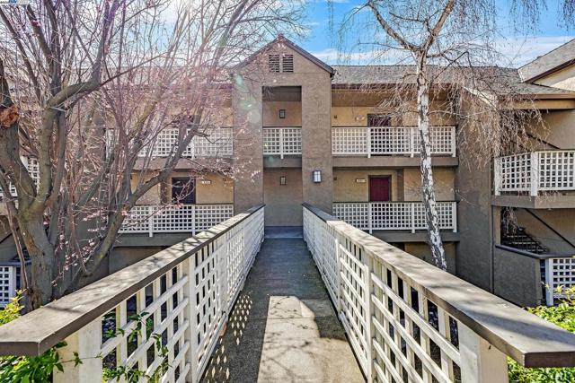 Image 1 of 36 For 681 Royston Ln  331