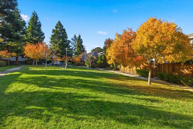 1542 Canna Court, Mountain View CA: https://media.crmls.org/mediaz/42e438e6-1c2c-4700-b583-767a2089e377.jpg