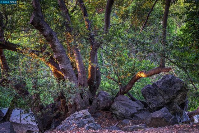 Image 25 of 30 For 5924 Park Ave