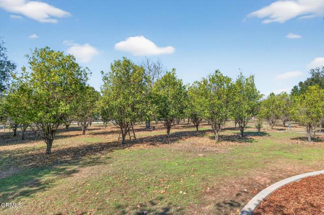 Detail Gallery Image 61 of 73 For 1125 Spring St, Oak View,  CA 93022 - 4 Beds | 4 Baths