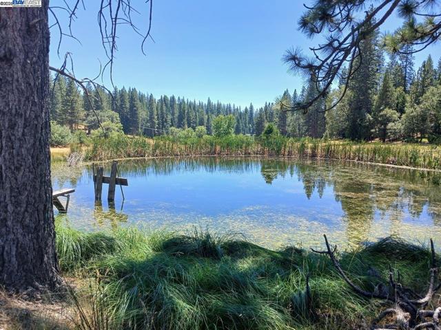 23875 Marshall Way, Twain Harte CA: https://media.crmls.org/mediaz/42f81c90-10b9-4630-9f6c-f3a876bf6e4a.jpg