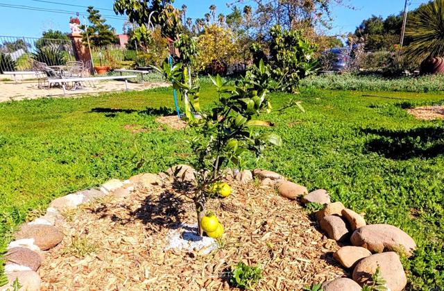 Detail Gallery Image 58 of 64 For 6951 W Lilac Rd, Bonsall,  CA 92003 - 3 Beds | 2 Baths