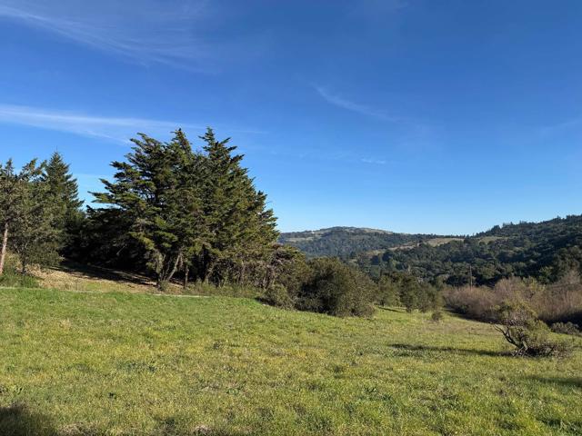 220 Heacox Road, Woodside CA: https://media.crmls.org/mediaz/430f8c6a-f8b2-40d7-8b45-8dd9bc2f1e89.jpg