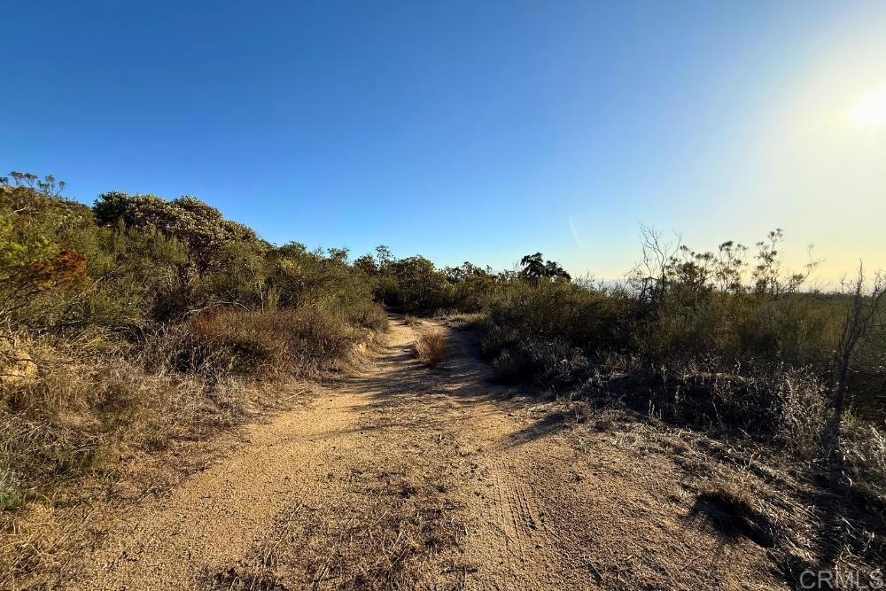 MLS #PTP2507282 image #22