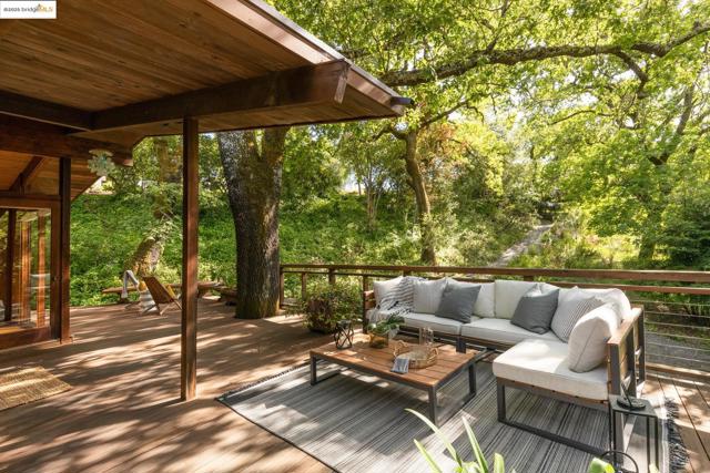 1 Kittiwake Rd, Orinda CA: https://media.crmls.org/mediaz/432ca034-07e8-4e26-a7ae-08c6428fe688.jpg