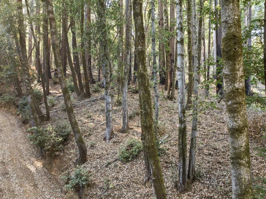 MLS #ML81986063 image #23