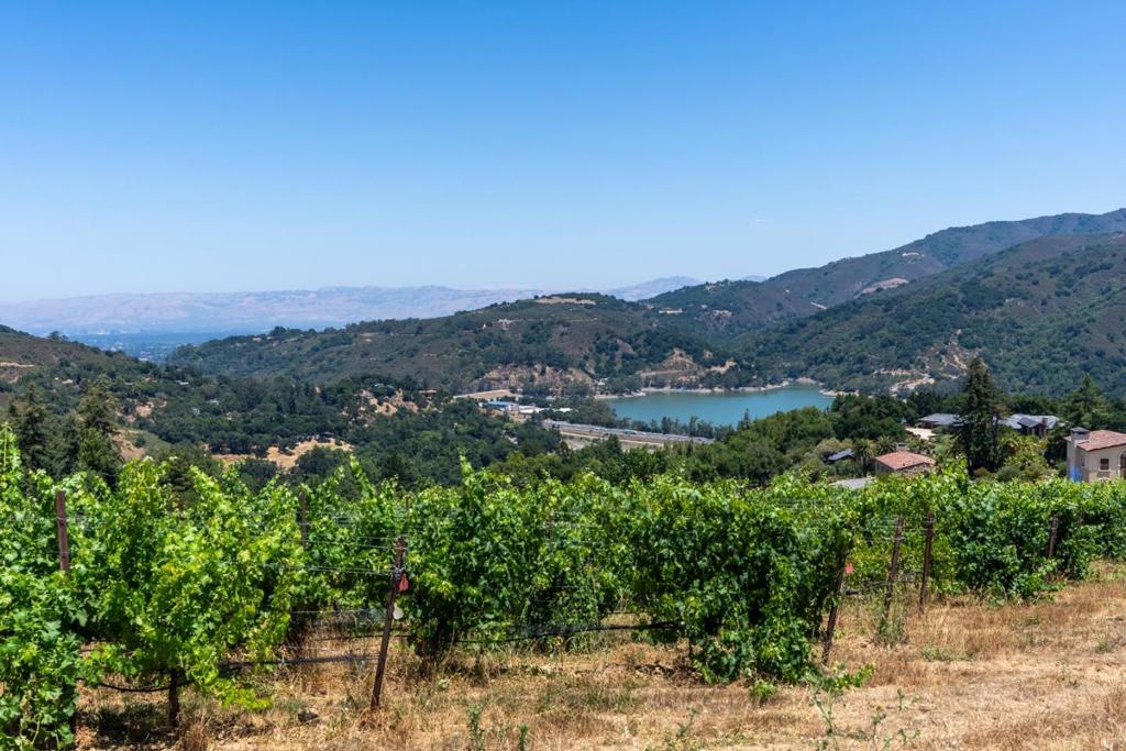 MLS #ML82023193 image #17