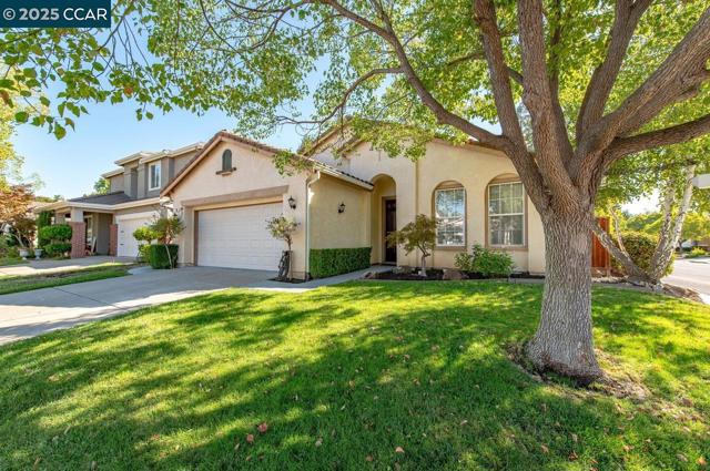 10 Narcissus Ct, Danville CA: https://media.crmls.org/mediaz/43326749-0470-4db2-9b14-167cdd21cd1b.jpg