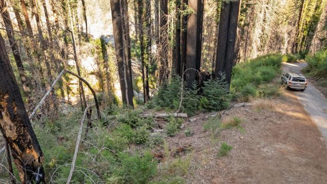 0 Boulder Brook Drive, Boulder Creek CA: https://media.crmls.org/mediaz/434222eb-ea3c-45a0-bf98-bc6444950cd1.jpg