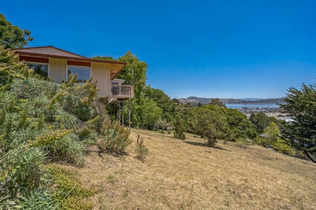 54 Buckelew, Sausalito CA: https://media.crmls.org/mediaz/43450d9e-33fe-4007-a1d0-9b293d162c52.jpg