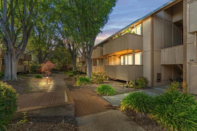 2466 W Bayshore Road, Palo Alto CA: https://media.crmls.org/mediaz/43508f9d-1c27-42a2-9e31-d1b56e489fe0.jpg