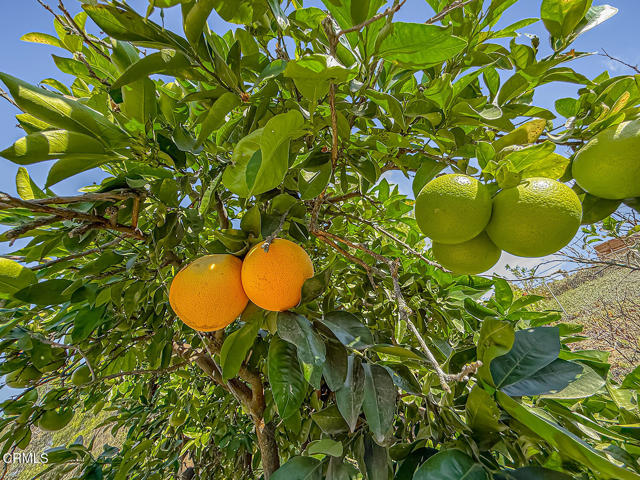 Detail Gallery Image 35 of 42 For 1450 Corte De Primavera, Thousand Oaks,  CA 91360 - 3 Beds | 2 Baths