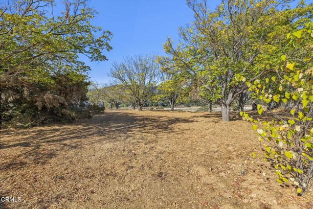 Detail Gallery Image 39 of 66 For 2293 Woodland Ave, Ojai,  CA 93023 - 3 Beds | 1/1 Baths