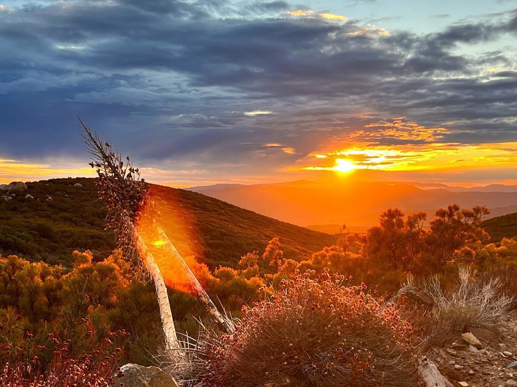 MLS #219130300DA image #1