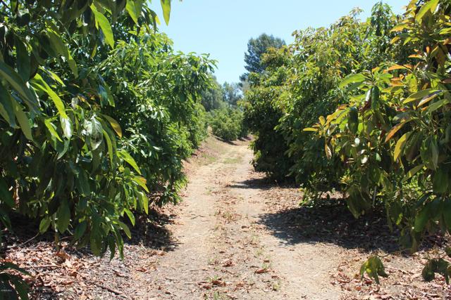 Detail Gallery Image 11 of 33 For 0 Camulos St, Piru,  CA 93040 - – Beds | – Baths