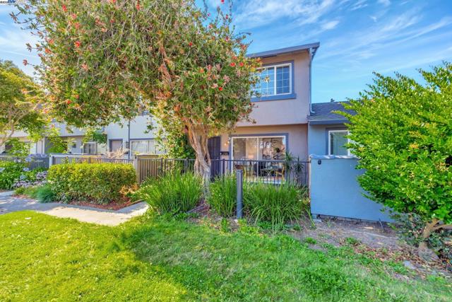 4312 Solano Way, Union City CA: https://media.crmls.org/mediaz/4360fca0-8502-4012-9b48-15b8275807d5.jpg