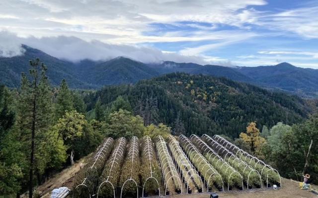 1900 Devils Gulch Road, Hayfork CA: https://media.crmls.org/mediaz/4367b19c-43bf-4803-8748-47f0ecee9436.jpg
