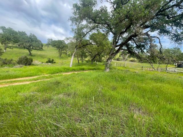 0 Avacado Road, Oroville CA: https://media.crmls.org/mediaz/43705666-a27c-407e-ad57-89891b95eafb.jpg