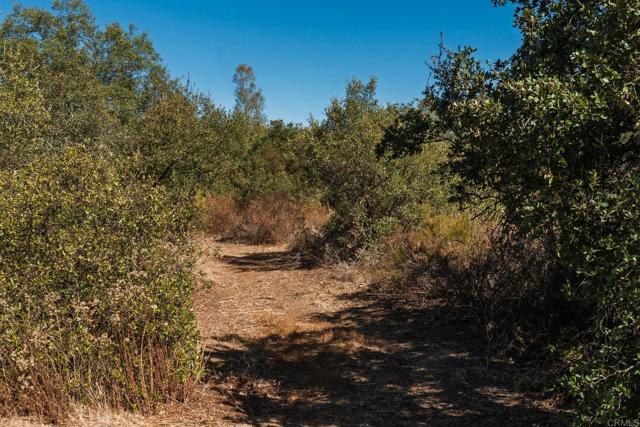 Detail Gallery Image 41 of 57 For 19010 Paradise Mountain Road, Valley Center,  CA 92082 - 3 Beds | 2 Baths