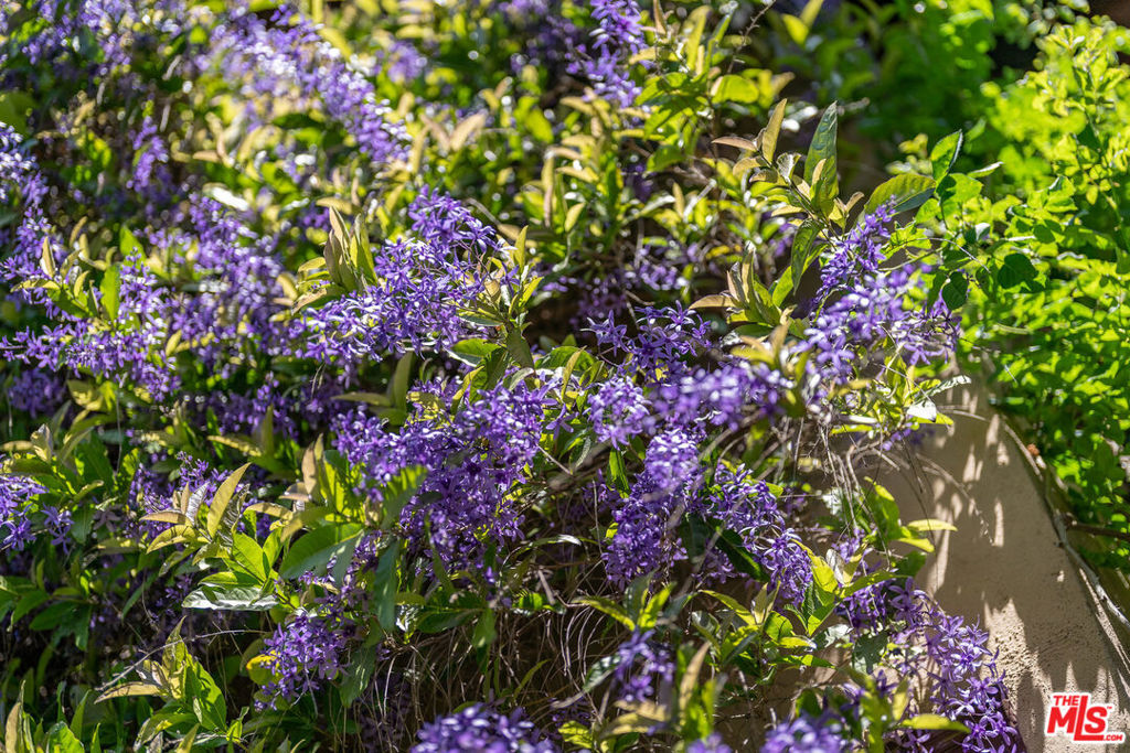 MLS #25596063 image #71