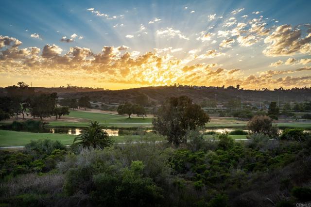 6767 Malachite Place, Carlsbad CA: https://media.crmls.org/mediaz/439a88e8-a7c6-4760-99e2-60fe83f35282.jpg