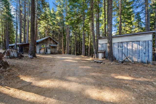 35425 Stonewall Drive, Shingletown CA: https://media.crmls.org/mediaz/43a1a750-cb7f-4cd3-9818-95d8233a34e2.jpg