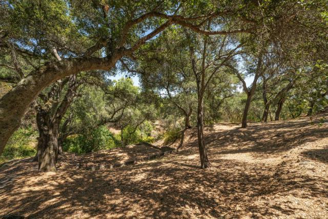 333 Raymundo Drive, Woodside CA: https://media.crmls.org/mediaz/43aa3ae3-823f-412d-a8e5-d92f1c0c5e5b.jpg