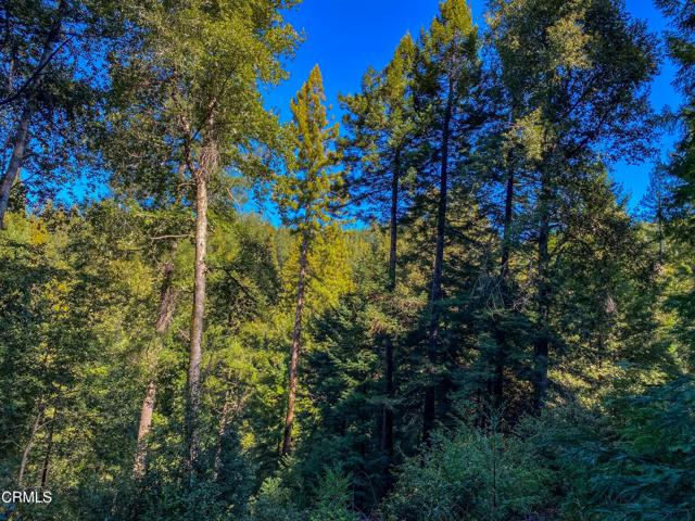 0 Irmulco Road, Willits CA: https://media.crmls.org/mediaz/43aaabae-b989-4514-89d4-07745a0079d4.jpg