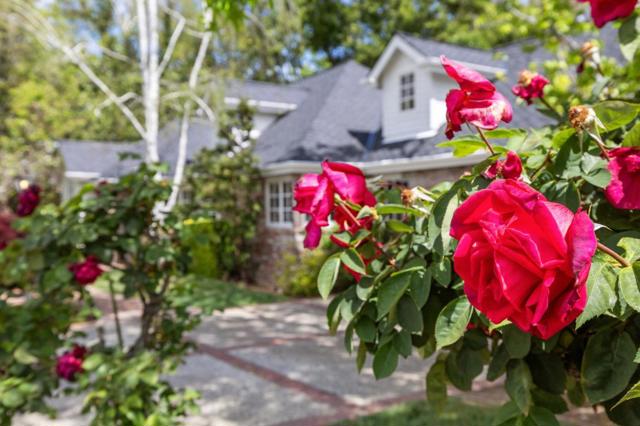 655 Berry Avenue, Los Altos CA: https://media.crmls.org/mediaz/43abd315-76c7-446e-9520-8401cf44375a.jpg