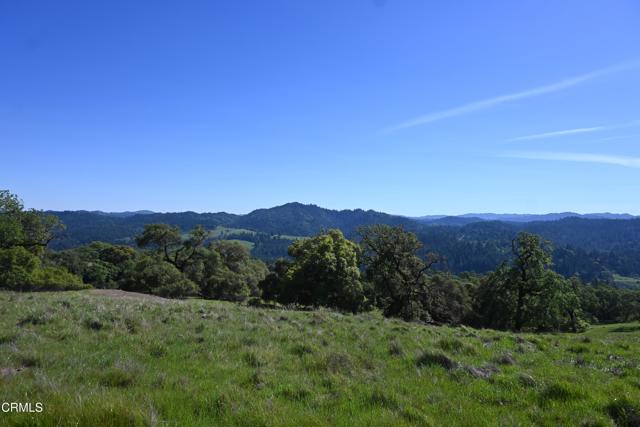 Detail Gallery Image 38 of 59 For 24051 Fig Tree Ln, Yorkville,  CA 95494 - – Beds | – Baths