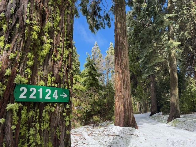 Home for Sale in Palomar Mountain