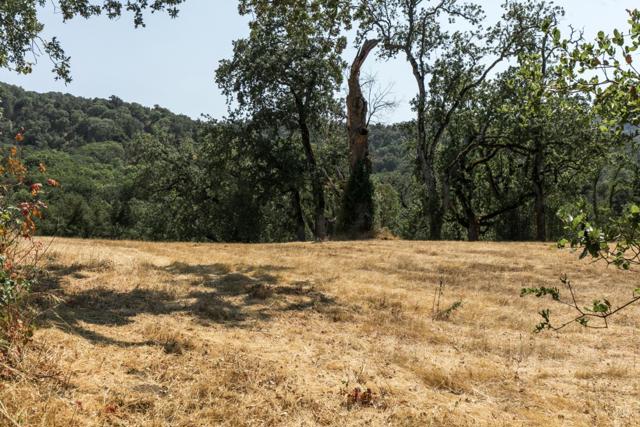 MLS #ML82027130 image #5