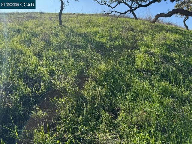 43 Cuesta way, Walnut Creek CA: https://media.crmls.org/mediaz/43cc2827-e244-4c3f-b5b8-f9222d20ebba.jpg