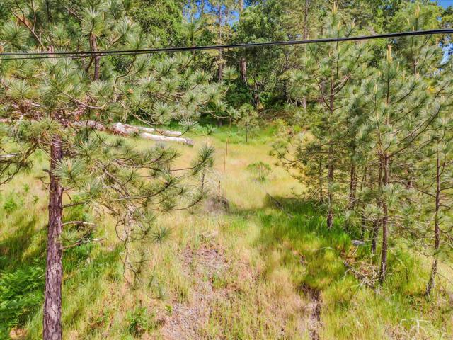 0 Zayante School Road, Felton CA: https://media.crmls.org/mediaz/43cf26cb-4dd1-41e4-918a-a3b018e60948.jpg