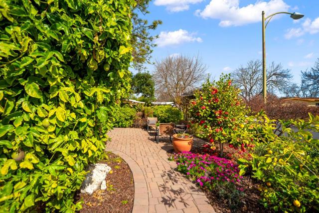 Image 47 of 56 For 3786 Corina Way