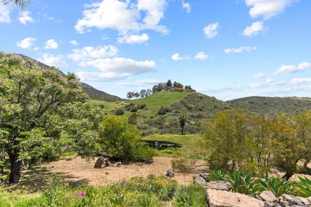 17156 Dos Hermanos, Poway CA: https://media.crmls.org/mediaz/43e4a42f-d950-4cde-a2d9-eb7000a5cb43.jpg